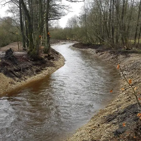 7 Person In Ansager-by Traum Holiday home Ansager